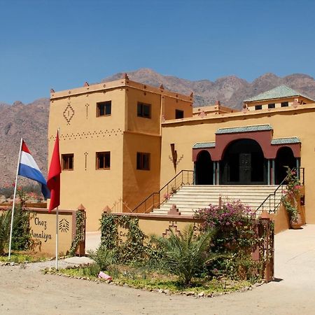 Auberge Kasbah Chez Amaliya 타프라우트 외부 사진