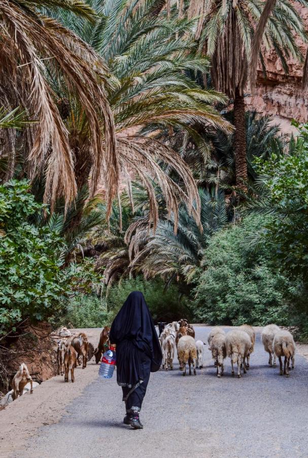 Auberge Kasbah Chez Amaliya 타프라우트 외부 사진
