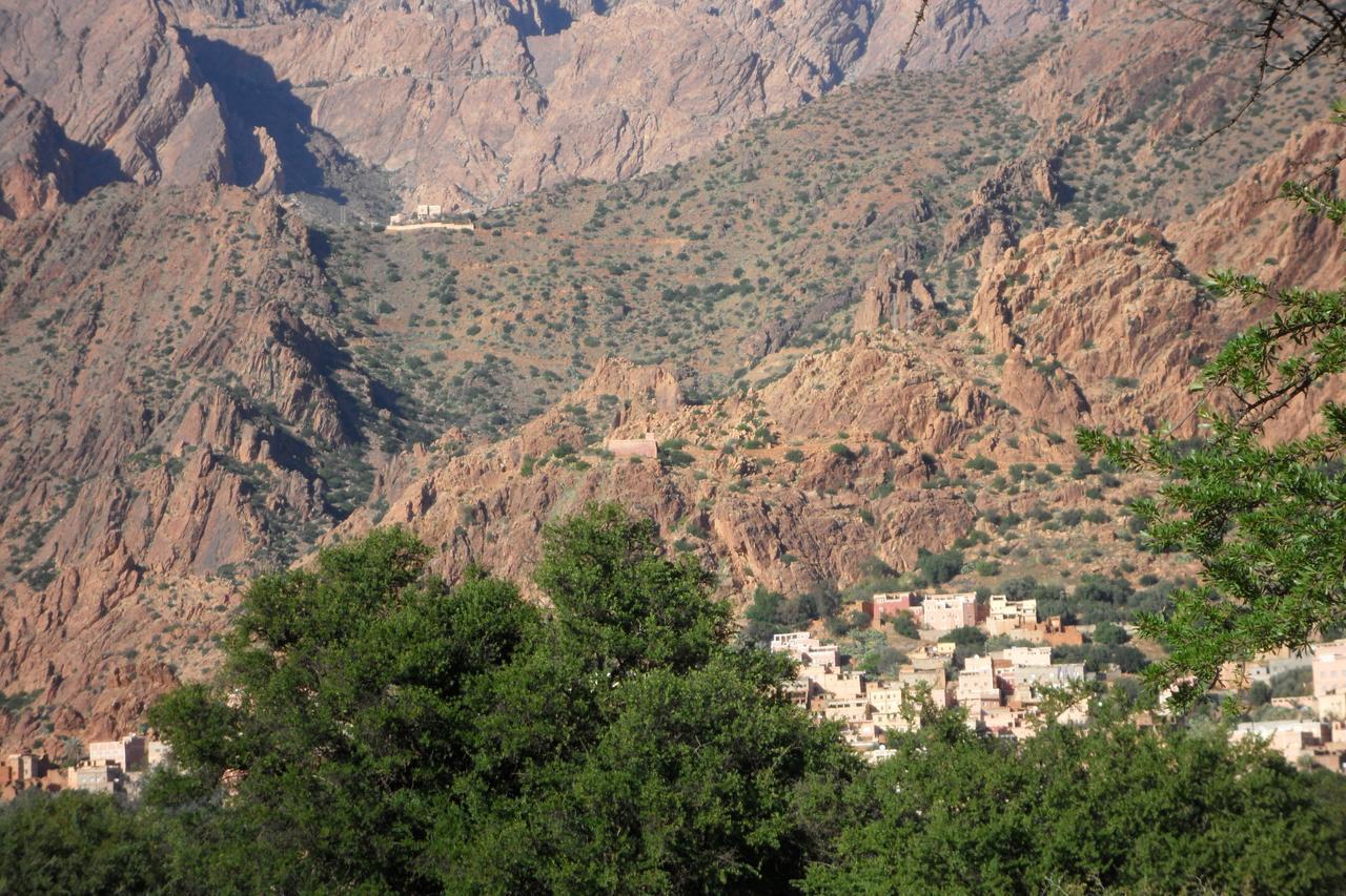 Auberge Kasbah Chez Amaliya 타프라우트 외부 사진
